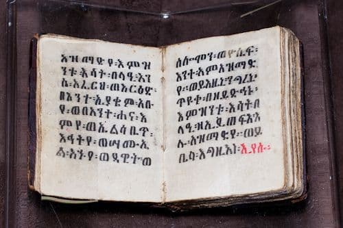 ረብሐ ግሥ banner.